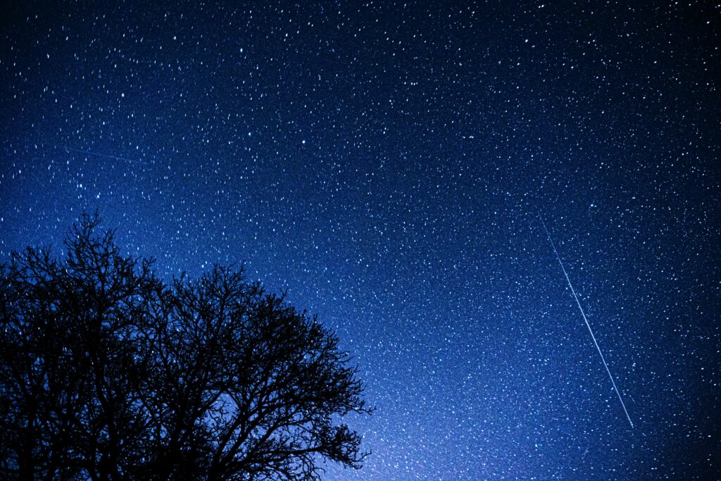 Imagem do Céu noturno, mostrando uma arvore escura em contrate com um fundo estrelado e uma estrela cadente.